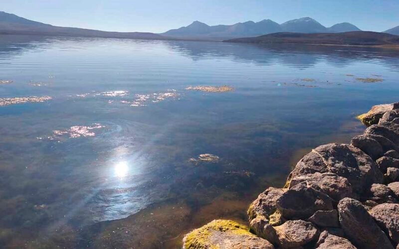 Expertos advierten que lago Chungará tardaría hasta 50 años en recuperarse tras derrame de aceite