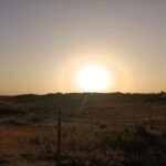 Bélgica activa la alerta roja en parte del país por ola de calor