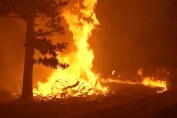 Incendio forestal obliga a evacuar a 650 personas en Alemania en medio de ola de calor extremo
