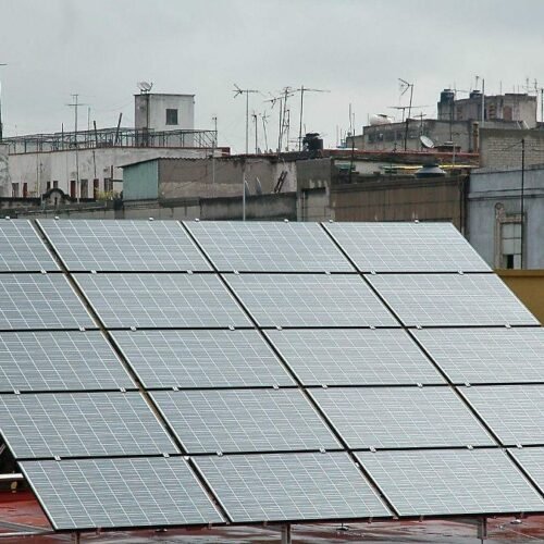 Alianza RedGirasol y Credit Saison Mexico apoyan agronegocios