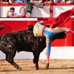 Marco Pérez sufre una herida en el muslo derecho con dos trayectorias en la última corrida de la Feria Santander