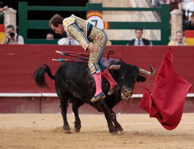 Orejas generosas para Román y Nek Romero en la Feria de Julio de Valencia