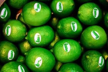 México exporta por primera vez limón persa a Moscú desde Veracruz