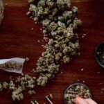 Consumo de cannabis triplica riesgo de trastornos mentales en adolescentes