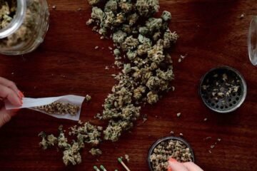 Consumo de cannabis triplica riesgo de trastornos mentales en adolescentes