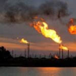 Trump reduce protección de hábitats de especies en peligro de extinción