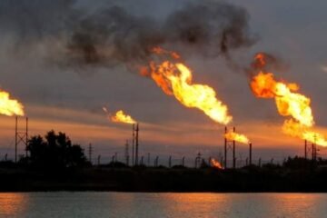 Trump reduce protección de hábitats de especies en peligro de extinción