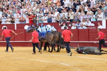 Málaga, plaza de toros de primera y tercera de España, en el contexto de una tauromaquia desnaturalizada