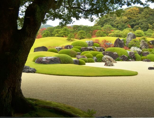 El jardín japonés: un microcosmos que resume el mundo