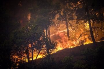 Incendios forestales arrasan más de 11.100 hectáreas al noroeste de Atenas