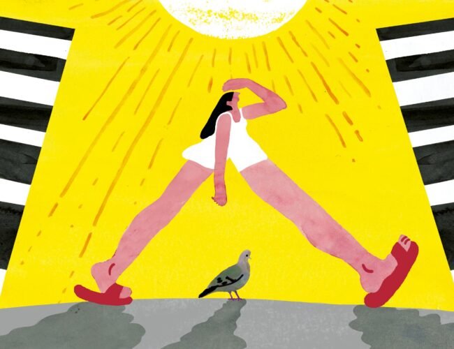 Vivir el verano como las palomas: sin pedir permiso y sin pagar