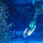Aventuras con peces y sirenas en Formentera