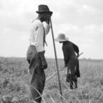 La desolación de la fotografía de Dorothea Lange tiñe de blanco y negro la Costa Brava
