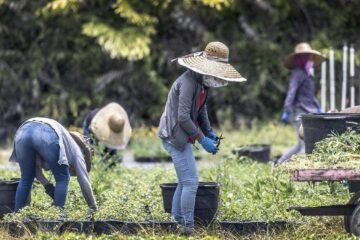 CNC busca consolidarse en EU entre reclamos por abandono y violencia en México
