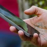 Extorsión alcanza su peor nivel en 11 años