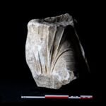 El misterio del trozo de piedra que resultó ser una diosa romana