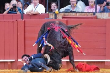 Talavante, herido grave en el festival que cerró la temporada sevillana